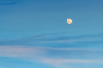 Wall Mural - large pale full mon over blue pink clouds in the evening sky. amazing tranquil twilight skyscape. аs