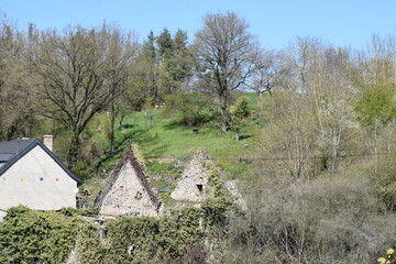 Wall Mural - bewachsene Mühlenruine