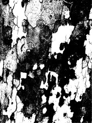 Grunge tree bark texture. Distressed overlay texture. Black and white vector texture