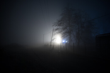 Wall Mural - old house with a ghost in the forest at night or abandoned haunted horror house in fog. old mystic b