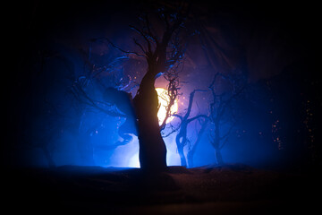 Wall Mural - spooky dark landscape showing silhouettes of trees in the swamp on misty night. night mysterious lan
