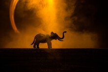 Silhouette Of An Elephant Miniature Standing At Foggy Night. Creative Table Decoration With Colorful Backlight With Fog.