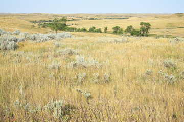 Wall Mural - Little Missouri National Grassland in North Dakota, USA