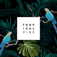 Wall Mural - Dark tropical design with exotic monstera and royal palm leaves, blue macaws and branches. Vector illustration.