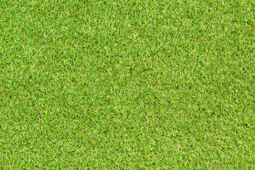 Wall Mural - artificial grass texture for background 