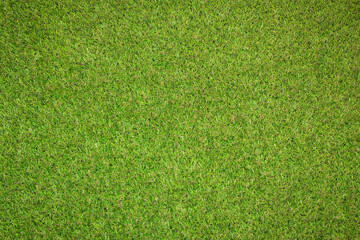 Canvas Print - artificial grass texture for background