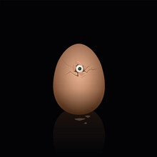 Broken Eggshell, Baby Chick Looking Out With One Eye, Hatching Chicken, Symbolic For Apprehension, Insecurity, Fear Or For Courage. Vector Illustration On Black Background.
