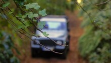 Blurred Out Off Road Truck Driving In Jungle, In Madeira - Focus On Branches