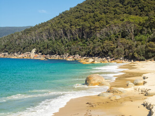 Wall Mural - Another beautiful sandy beach at North Waterloo Bay - Wilsons Promontory, Victoria, Australia