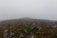 Far Eastern Nature. The Top Of Mount Anik, Shrouded In Dense Fog, In The Primorsky Territory.