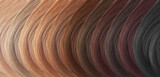 Samples of hair dyed in different colors