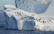 © SuperStock - Iceberg with penguins, Antarctica