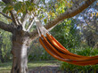 © SuperStock - Close up of hammock secured to tree