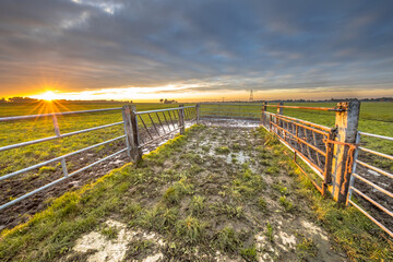 Wall Mural - Sunset over gate in lowland meadow