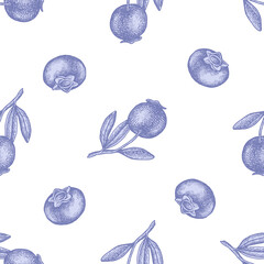 Wall Mural - Seamless pattern with hand drawn pastel blueberry