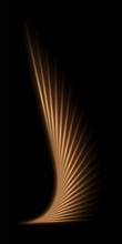 Gold Light Wings Glowing On Black Background. Yellow Bright Flare Lines Shining Vector Illustration. Flash Of Light With Ray Beams And Shade. Motion Flow Effects With Blur
