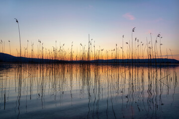 Wall Mural - Kochel Lake an the Bavarian Alps in Germany