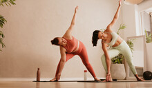 Two Females Practicing Yoga At Fitness Studio
