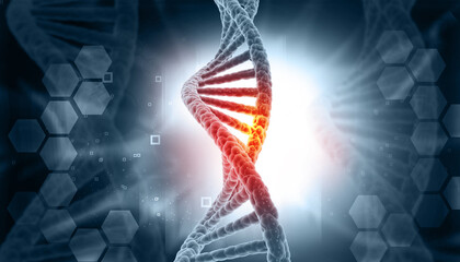 DNA strend on scientific background. 3d illustration.