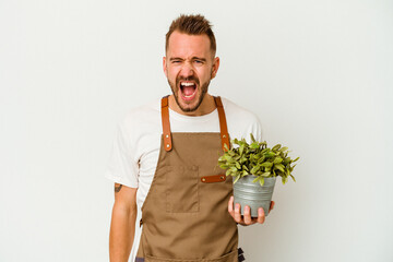 Young gardener tattooed caucasian man holding a plant isolated on white background screaming very angry and aggressive.