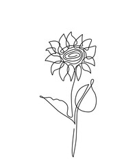 Wall Mural - Sunflower flower vector illustration in simple minimal continuous outline line style. Nature blossom art for floral botanical design. Isolated on white background