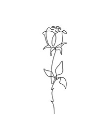 Wall Mural - Rose flower vector illustration in simple minimal continuous outline one line style. Nature blossom art for floral botanical design. Isolated on white background