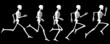 White Silhouette View Of the Running Cycle Of Human Skeleton Vector Drawing