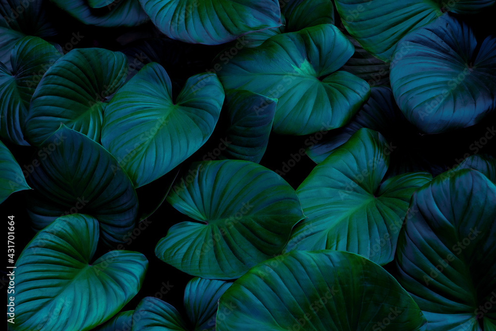 blue and green leaves background - obrazy, fototapety, plakaty 