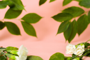 Wall Mural - Beautiful pink background with flowers and green leaves, natural background. Beautiful for cosmetics and your product. Blurred background.