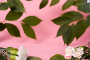 Wall Mural - Beautiful pink background with flowers and green leaves, natural background. Beautiful for cosmetics and your product. Blurred background.