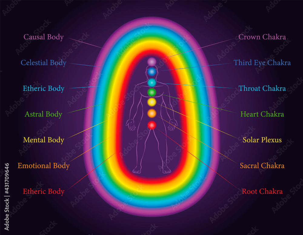 Aura bodies. The seven layers of a meditating man with related chakras in the same colors. Etheric, emotional, mental, astral, celestial and causal layer. Labeled vector illustration chart.
 - obrazy, fototapety, plakaty 