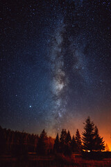 Night sky with the Milky Way over the forest