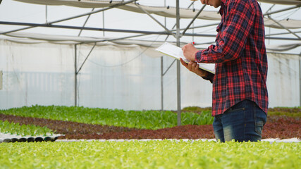 Farmer inspect check and take care farm products and fresh vegetables in greenhouse or organic farm with happy for food supply chain and delivery to customer as hydroponic farm and agriculture concept