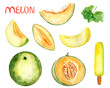 Melon watercolor set of melon pieces elements. Template for decorating designs and illustrations.