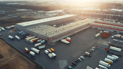 Wall Mural - Large logistics park with warehouse and loading hub. Semi-trailers trucks stand at ramps and wait for load and unload goods. Aerial all-round view