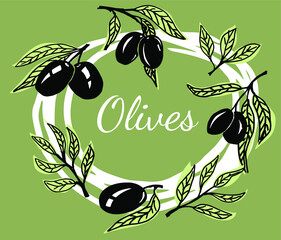 Wall Mural - Modern template with olive branches and fruits for Italian cuisine design or extra virgin oil food or cosmetic product packaging wrapper. Hand drawn Illustration in vector.