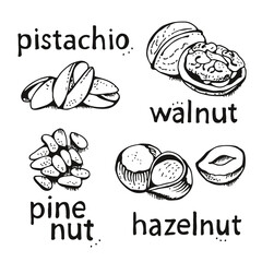 Wall Mural - Nuts set vector set, various nuts hand drawn illustration