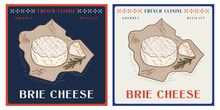 Brie Cheese With Rosemary On Paper Vintage Realistic Illustration