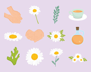 Wall Mural - chamomile and flowers