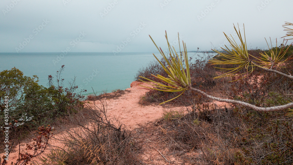 Sand dunes and grass