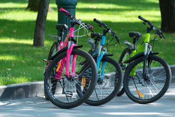 Three bicycles on park background. Bicycles for rent. Children's bicycles in bright colors.