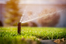 Close Up Of Lawn Irrigation. Automatic Sprinkler System Watering The Lawn Close-up.