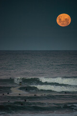 Wall Mural - Surfing with a rising full moon