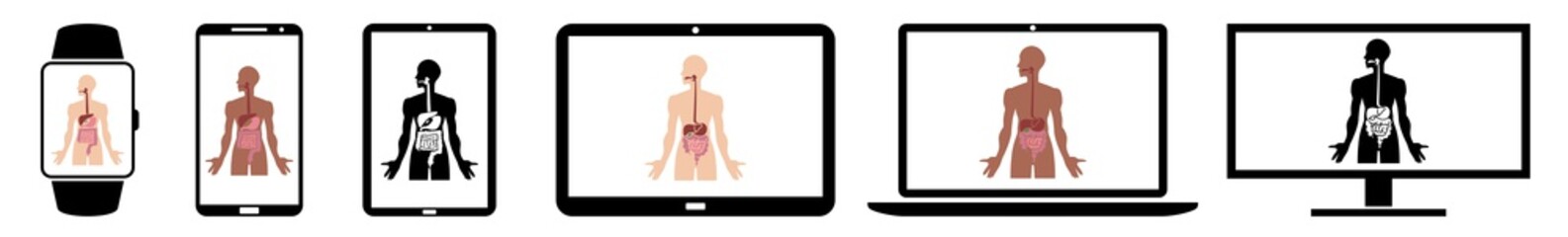 Wall Mural - display digestive, digestion, system, stomach icon devices set | web screen biology, anatomy, medica