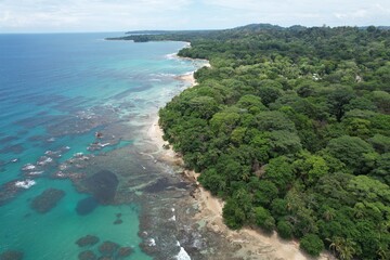 Wall Mural - Lush tropical Caribbean Coast of Limon in Costa Rica -aerial views of Cocles, Punta Uva, Playa Chiquita and Puerto Viejo