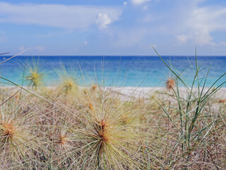 Wall Mural - Sea backgraung, white sand, sky, clouds, grass