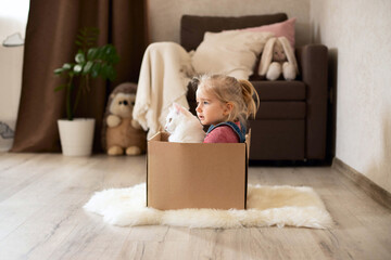 A little girl hugs a cat sitting in a box. Children's games, in the children's room.