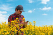 Farmer using mobile smart phone app in blooming rapeseed field
