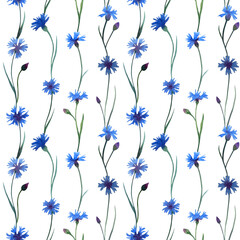  Seamless pattern of blue cornflowers on a white background. Vertical. Watercolor. Illustration