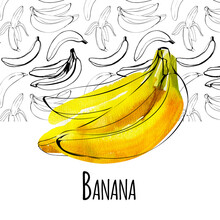 Watercolor Illustration Of Bananas And Ink Silhouette Black Color